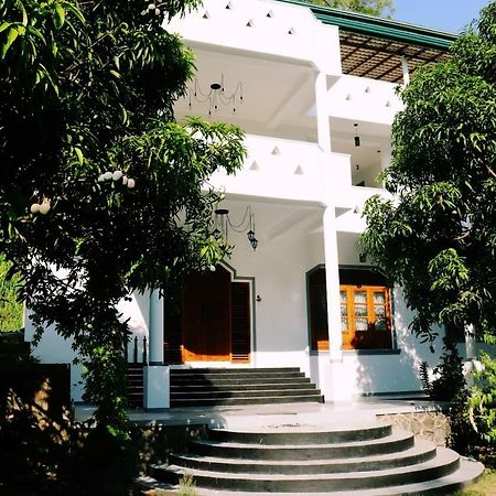 Sea Avenue - Eco Garden Hotel Tangalle Eksteriør billede