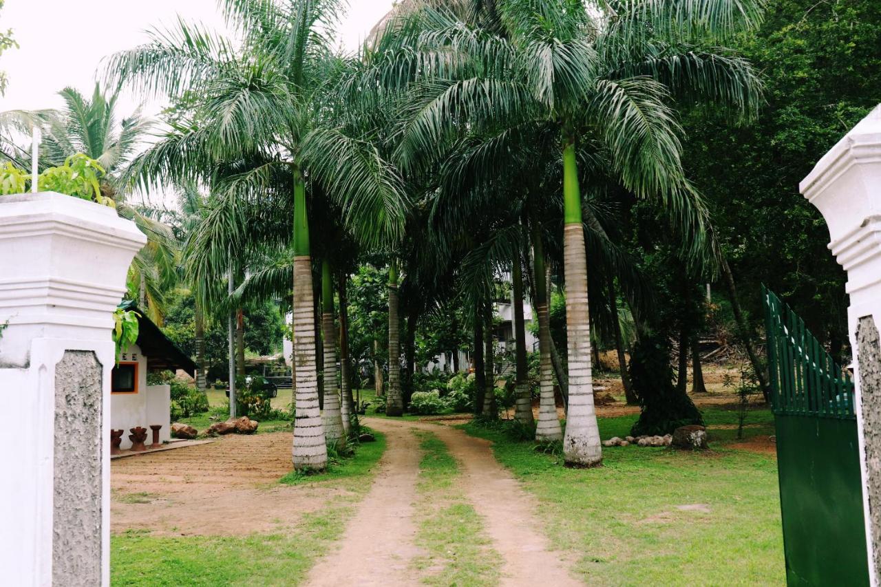 Sea Avenue - Eco Garden Hotel Tangalle Eksteriør billede