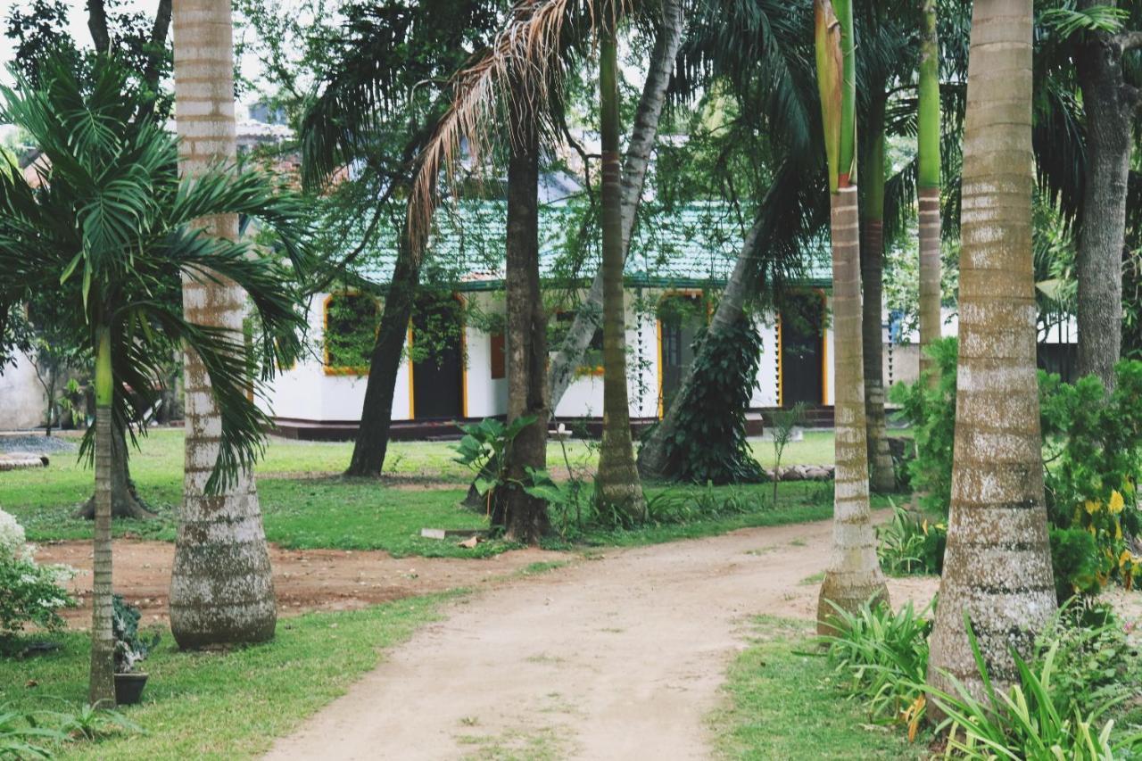 Sea Avenue - Eco Garden Hotel Tangalle Eksteriør billede