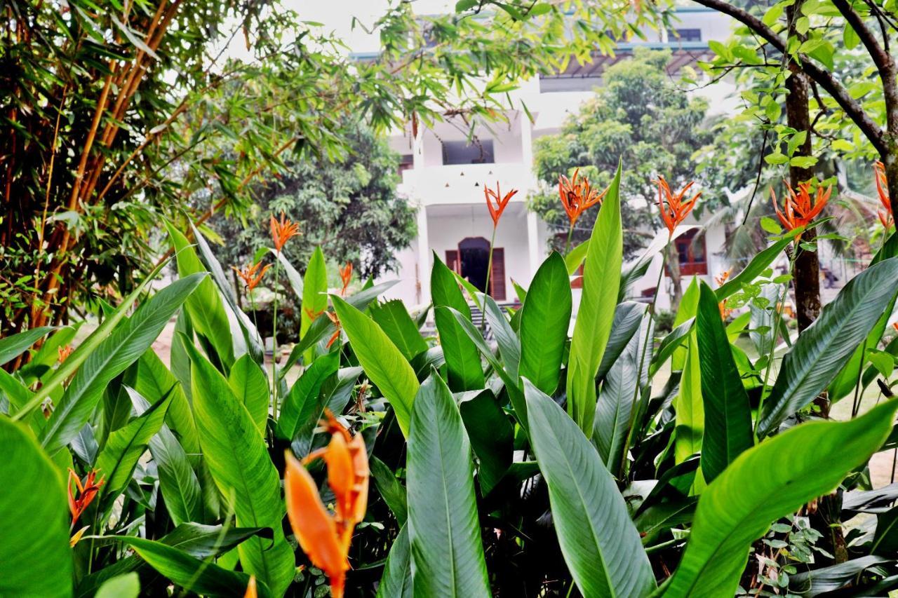 Sea Avenue - Eco Garden Hotel Tangalle Eksteriør billede