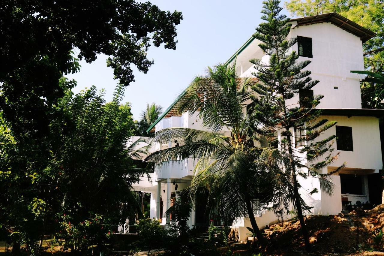 Sea Avenue - Eco Garden Hotel Tangalle Eksteriør billede