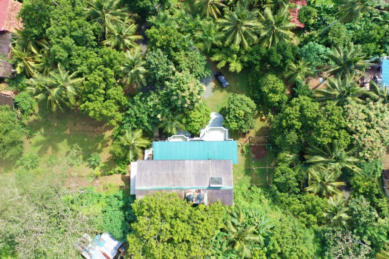 Sea Avenue - Eco Garden Hotel Tangalle Eksteriør billede